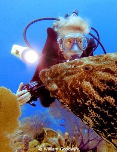 Donna looks up at other divers watching this big black gr... by William Goodwin 